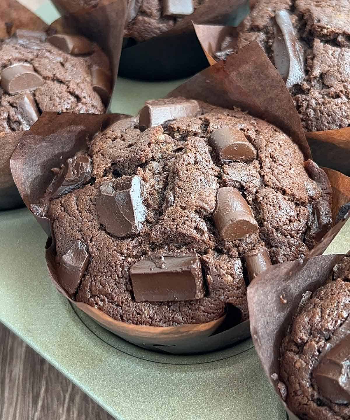 baked chocolate muffin after it comes out of the oven.