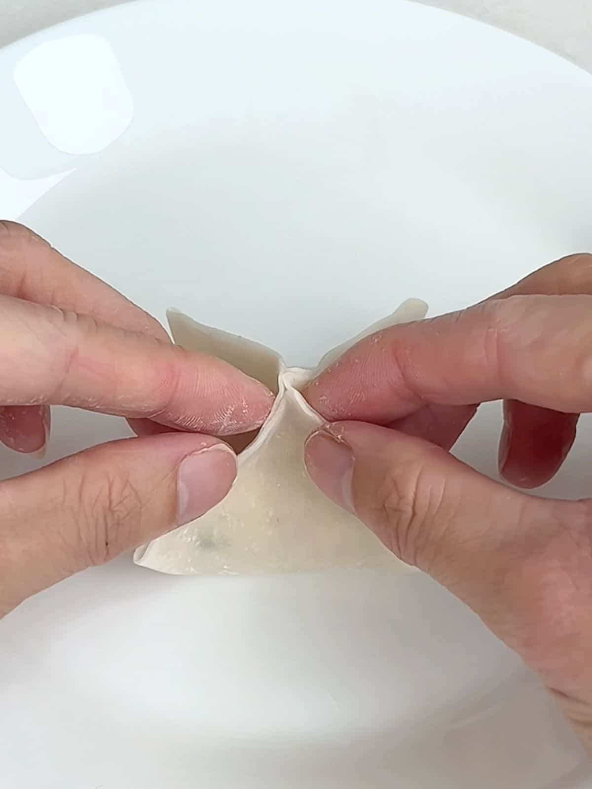 Two hands folding a wonton wrapper together.