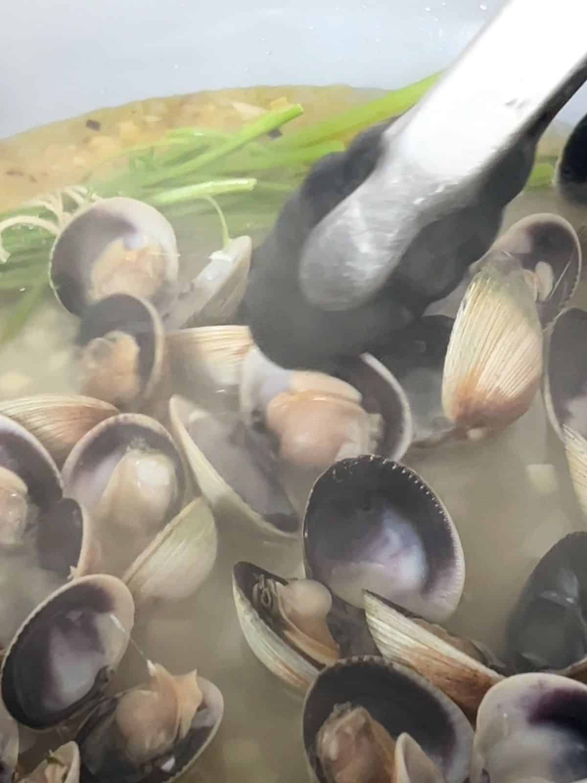 Cooked clams in a wine sauce next to sprigs of parsley.